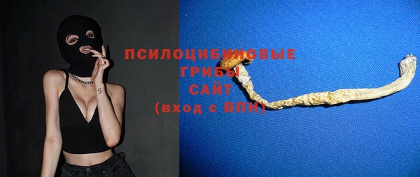 гидропоника Алзамай