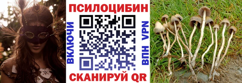 ссылка на мегу Энгельс Псилоцибиновые грибы MAGIC MUSHROOMS